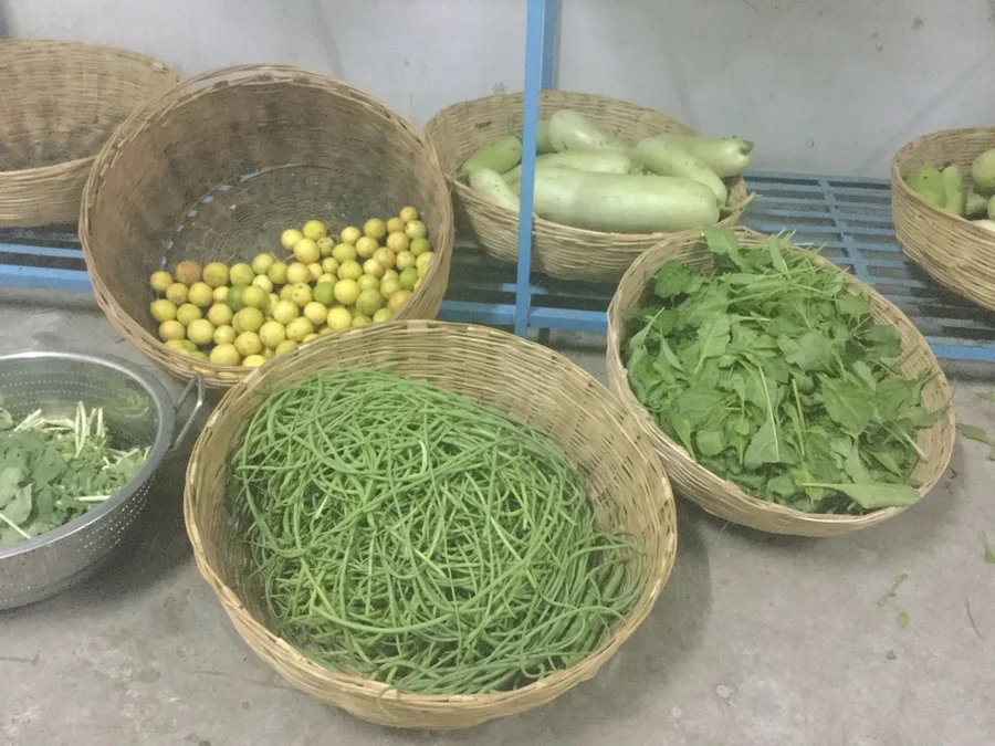 winter salad and daycon radish (mooli)